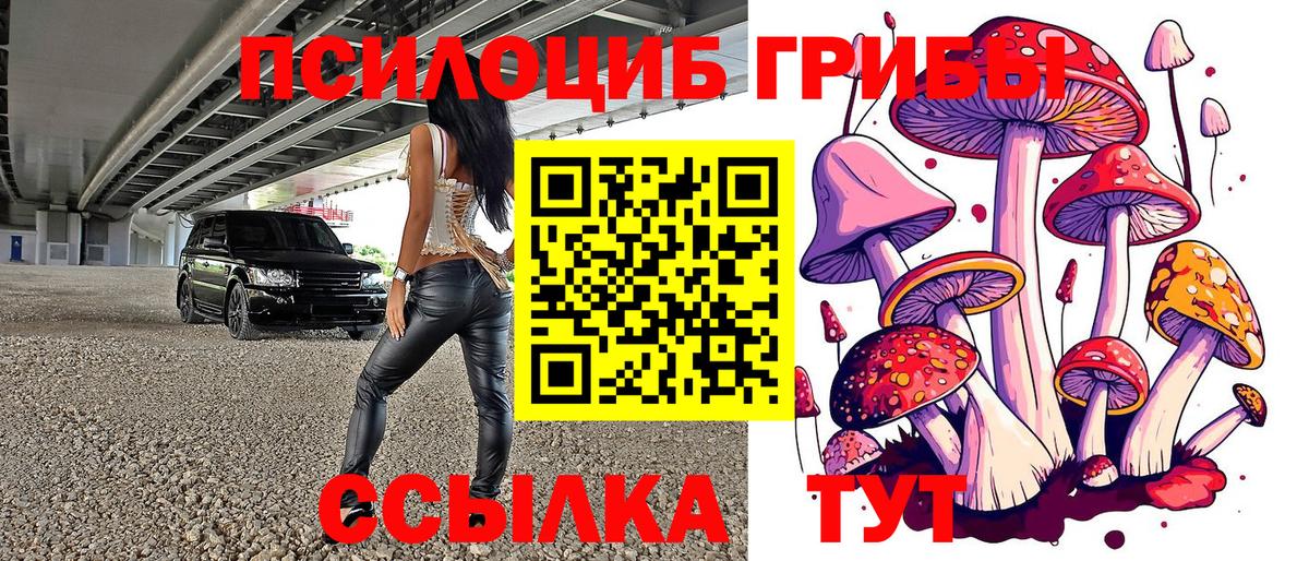 Гусев  Галлюциногенные грибы Magic Shrooms  Вход с VPN 