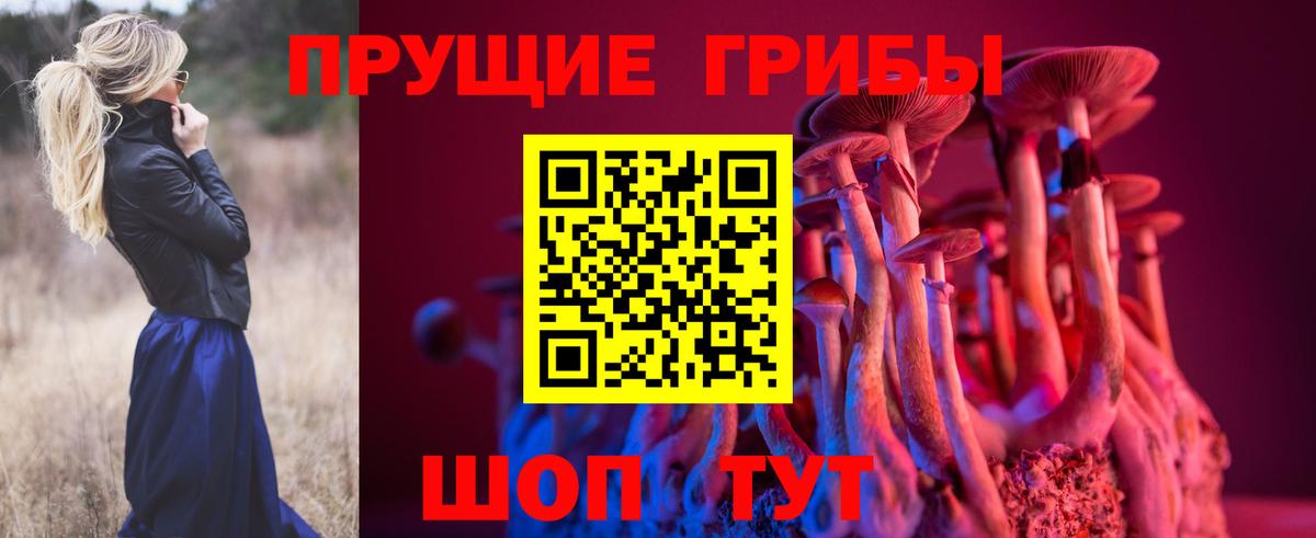 Галлюциногенные грибы ЛСД Гусев