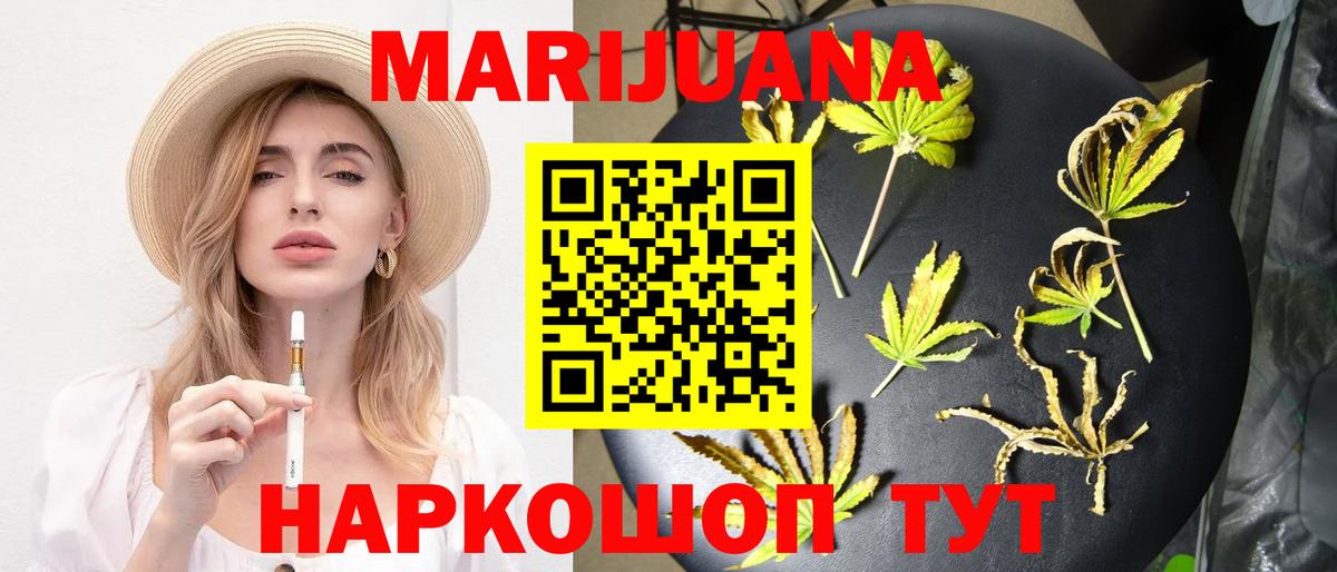 Бошки Шишки план Гусев